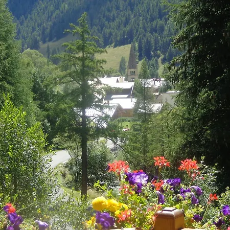 Ancolie Bleue Abriès
